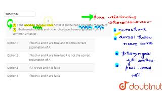 A  The Ascidian tadpole larva possess all the basic chordate characters R  Both urochorda [upl. by Gaynor470]