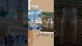 Jahan rozae pak khairel waratah hy ⚘️beautiful Madina ⚘️ shorts madina subscribers muslim [upl. by Alleber]