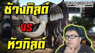 ใครฮากว่ากัน หัวกิลด์ VS ช้างกิลด์  BlackDesert ZicKarr [upl. by Ennylcaj]