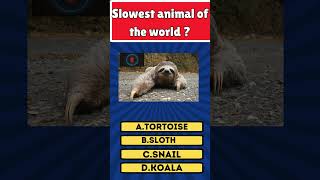 Guess the Slowest animal of the world shortsviral quiz fypシ゚viral fypage fy fyp fypシ゚ [upl. by Namya940]