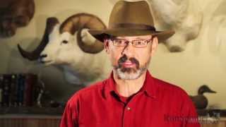 quot17 Winchester Super Magnumquot Ballistics Performance Comparisons with Ron Spomer [upl. by Roht]