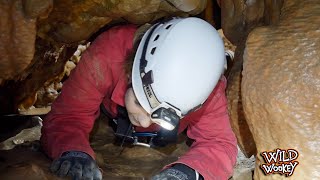 Wild Wookey Adventure Caving 2019  Its not just walking around a bit [upl. by Boy]