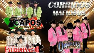 Narco Corridos Mix Los Capos De Mexico Los Originales De San Juan Grupo Exterminador Exitos [upl. by Ailiec]