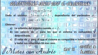 SELECTIVIDAD PAU EBAU EVAU MATEMÁTICAS II JUNIO 2017 COMUNIDAD VALENCIANA – ÁLGEBRA 01 [upl. by Rimhsak396]