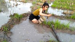 WowBeautiful Girl Fishing Amazing Fishing at Battambang How To catch fish by hand [upl. by Cerelly]