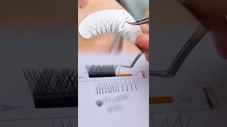 YY Lashes lashtech lasheducation lashtraining lashextensions volumelashes eyelashes lashclass [upl. by Lodnar]