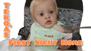 Reborn Baby Tekoas First Night Home  Reborn Roleplay [upl. by Aisset]