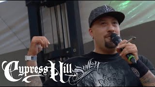 Cypress Hill  quotDr Greenthumbquot Live at Lollapalooza 2010 [upl. by Mackey576]