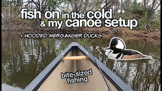 My Wenonah Solo Canoe Setup amp Fish In Cold Weather [upl. by Gainer922]