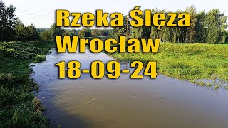 Wrocław rzeka Ślęza most Żernicki 180924  Powódź 2024 wrocław powódź [upl. by Nairdad587]