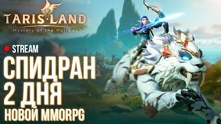 Tarisland ►Спидран 2 дня новой MMORPG без автобоя [upl. by Lindahl951]