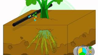 Fertigation  Nutrigation  how does it work [upl. by Selym853]