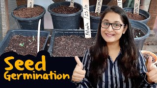 How to germinate Seed  Why seeds dont germinate  बीज कैसे उगायें I Seed germination gardening [upl. by Brent]