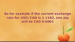 Forex Pips Explained [upl. by Hyrup912]