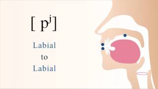 pʲ  unvoiced unaspirated palatalized bilabial stop [upl. by Alverta470]