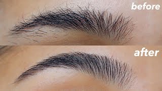 HOW TO GROOM  SHAPE YOUR EYEBROWS super easy  at home [upl. by Motch285]