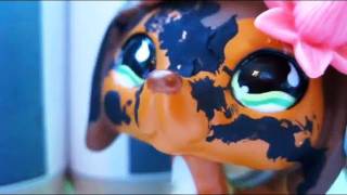 Littlest Pet Shop Popular Episode 5 Calories and Competition [upl. by Roshelle]