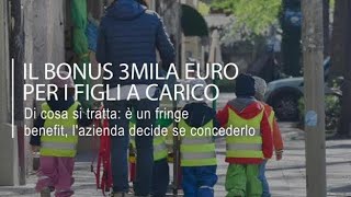 Bonus 3mila euro per i figli a carico come funziona il fringe benefit [upl. by Matthiew]