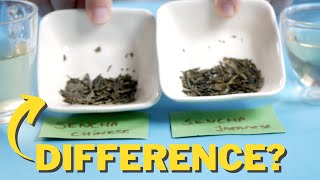 Tested Japanese VS Chinese Sencha Green Tea [upl. by Aibara]