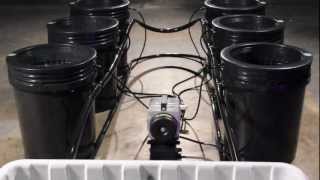 Bubble Flow Buckets Voted quotBest Bucket Grow Hydro Systemquot [upl. by Rochus17]