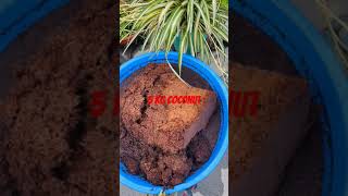 5 kg coconut ise kaise istemal kiya jata hai cocopeat organiccoconut shortsvideo zerochemicals [upl. by Eul531]