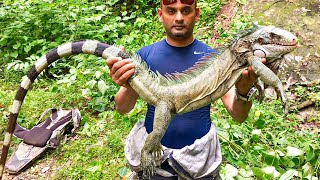 Jamaican Eating Trinidad 🇹🇹 Delicacy Curry IGUANA [upl. by Darrel]