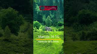 Marcos 1615 Versículo De La Biblia [upl. by Olnek]