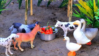 animals video dog amba matikata cow cow cattle horse tractor bommalu  Nov 13 20241009 AM [upl. by Camey]