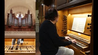 José António Carlos de Seixas Toccata  Jacques Kauffmann à lorgue du Couvent des Dominicains Paris [upl. by Auqinahs]