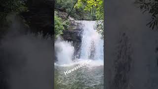 Hiawassee Ga Waterfall Jump [upl. by Aguste663]