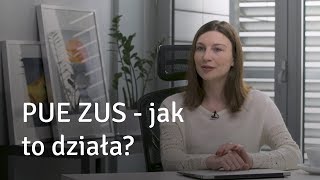 PUE ZUS  jak to działa [upl. by Riedel138]