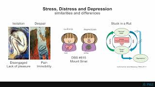 Helen Mayberg – What is well Decoding Recovery Signals to Optimize DBS Treatment for Depression [upl. by Aillicirp397]