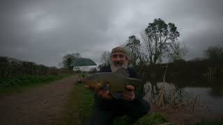 Tench fishing Tiverton canal [upl. by Azile]