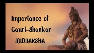 IMPORTANCE OF GAURISHANKAR RUDRAKSHA [upl. by Elenaj]