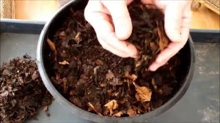 Grow Carrots in Seaweed and Leaves Part 1 A permaculture experiment and a surprise visitor [upl. by Idona]