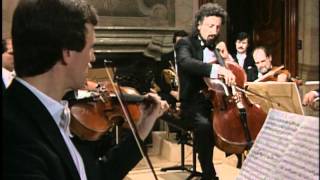 Mischa Maisky  Haydn Cello Concerto No1 in C Major  II Adagio HD [upl. by Anerhs]