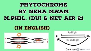 Phytochrome In English  Plant Physiology  CSIR NET Life Sciences [upl. by Veronica]