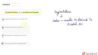 Cryptorchidism is a condition of testes [upl. by Bluefield]