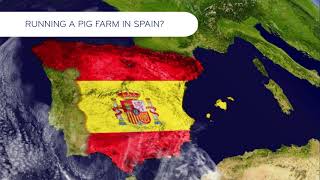 Nooyen Pig Farming in Spain  English version [upl. by Emerald296]