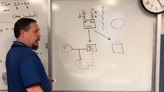 Outcrossing linebreeding amp Inbreeding Basics Part 1 RCCOR not to be confused with COI [upl. by Yzus]