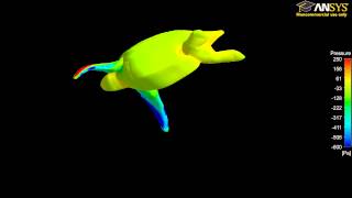 Animated Swimming Turtles [upl. by Metabel]