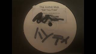 Anthill Mob  Set You Free 2STEP [upl. by Earal979]