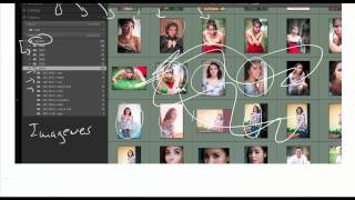 Que son los catalogos de lightroom [upl. by Neale]