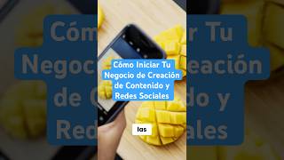 Cómo Iniciar Tu Negocio de Creación de Contenido y Redes Sociales [upl. by Kippy]