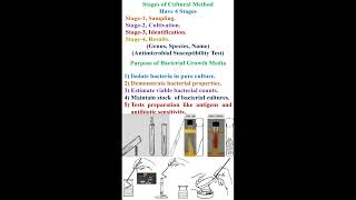 Stage of Bacterial Culture Methods and Purpose of Bacterial Growth Media geneticteacher [upl. by Elisabetta]