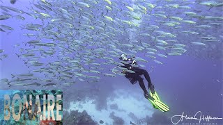 Living amp Diving in Bonaire  Episode 8 2024 [upl. by Sirraf]