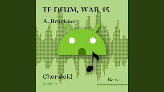 Te Deum WAB 45 In te Domine speravi bass II Voice with metronome [upl. by Inaffit]