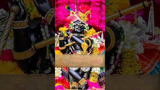 Lora Sri Radharaman  शुद्ध भक्त के द्वारा प्रकटित श्रीविग्रह [upl. by Mariano358]