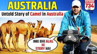 UNTOLD STORY of AUSTRALIA 🇦🇺CAMELS 🐪 Travel in Wild with Cycle Baba [upl. by Starlin333]