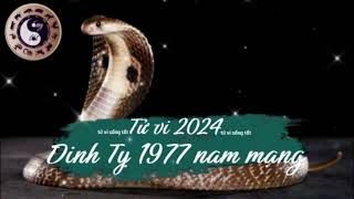 Tử vi tuổi Đinh Tỵ 1977 nam mạng năm 2024 [upl. by Aisauqal227]